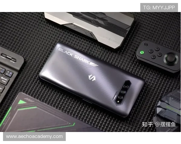 使用AG在线登陆的详细操作流程,帮助新手快速上手游戏