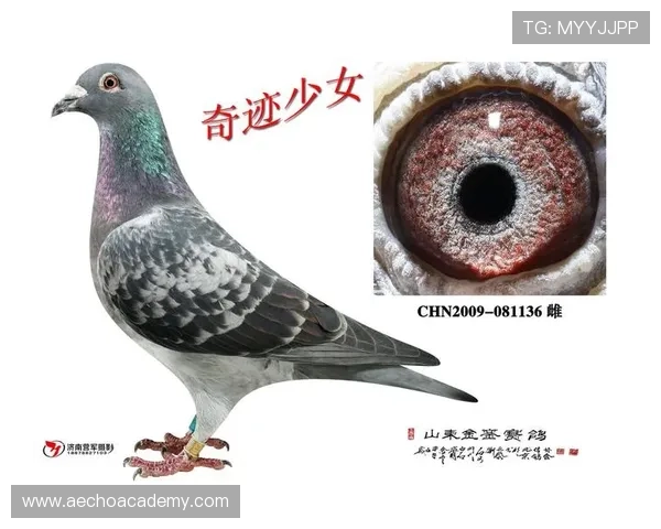 2024年AG国际厅注册官网详细步骤及安全保障措施确保玩家账号信息安全